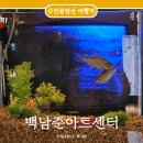 백남준 아트센터 | 용인 놀거리 백남준아트센터 주차 입장료 방문 후기