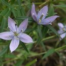 장안사거리 이미지