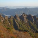 진안농협 하나로마트 이미지