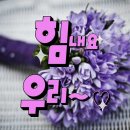 &#39;럭셔리(클럽)칼럼#개그맨.강성범.이것이.법과원칙인가.&#39; 보기 이미지