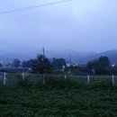 내곡동471 이미지