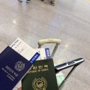 벗꽃스시 | 부관훼리타고 일본여행2박3일 88,900원으로 다녀오기🚢 연차안쓰고,일본어 몰라도 괜찮아 나만 따라와!!