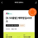 알레(alle) 이미지