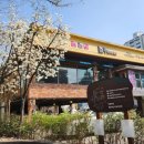 황금코다리쌍문점 이미지