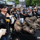 재작년에 있었던 복날 개고기 반대 시위 이미지