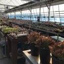 명심농장 이미지