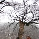 가야마을경로당 이미지