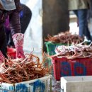 붉은대게 이미지