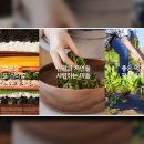 농업회사법인 정다운(주)