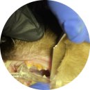 명덕동물병원 이미지