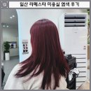 헤어아트 | 일산 라페스타 미용실 아트디헤어 수지 실장님 염색 후기