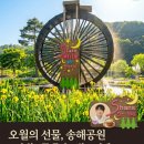 춤추는사람 (알르망 | 5월의 햇살, 대구 송해공원 용연지의 노란 창포꽃 물결과 이찬원 '찬스 카페' 나들이