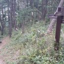 때뿌루민박 이미지