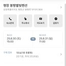 봉평별빛 이미지