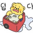 왕피천 숲속 캠핑장 이미지