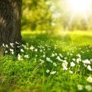 백세명가