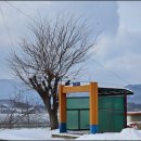 심천구세군 이미지