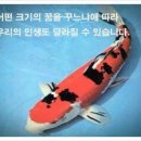 넌나의선물