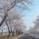 산업로6(북) | 경상북도 경주 1박2일 여행 🚙 (출산 전 마지막 여행)