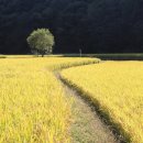 명천교 이미지