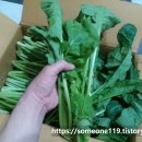 진희농장 이미지