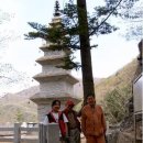 황토통나무집민박 이미지