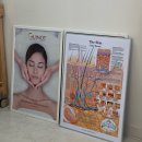 씨유창원중동디세븐파크점 | [W.2] 창원중동웨딩관리 뉴욕부티크 에스테틱 테라노바 관리 솔직후기(마동석 팔뚝 탈출 가능)