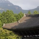 동아건재 - 무안군 승달로 28 | 동아건재
