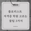 도도플레르 이미지