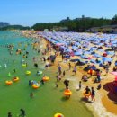 동해안주유소 이미지