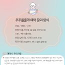 우주를 줄개 이미지