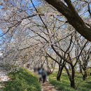 척산시장(복지회관 옆) | 경기 수원 행궁동 왕의 골목 여행 봄시즌 특별코스 마을해설 프로그램 수원화성 아이와 가볼만한 곳