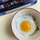 농업회사법인미소한우주식회사 | 난각 1번 | 유정란 선택의 기준-양계장청년[양계장 청년 유정란 자연방사 HACCP 20구]