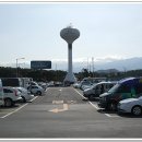 설록차전시관 티스토리
