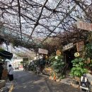 남천 | 부산 광안리 맛집｜부산 남천동 빙수 맛집, 가성비 끝판왕 남천녹차팥빙수 후기