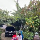 시골소풍 이미지