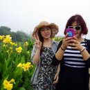 헬로우컷제주