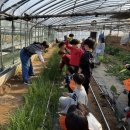 사랑가득합기도 | K합기도·정무합기도 친구들과 함께한 소울팜 농촌체험! 가래떡피자 만들기부터 고구마·배추 수확까지