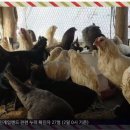 굿모닝농장2 이미지