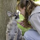 애완동물원 이미지