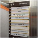 송파역 PT 헬스장 킹덤휘트니스 후기 어깨 강화운동으로 운동모드 ON:)