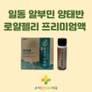 수지로얄약국 네이버블로그
