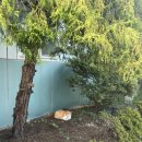 GS25울산전하패밀리점 이미지