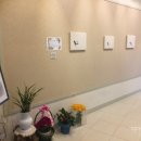 화정도서관 꽃뜰 이미지