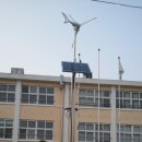 황남초등학교 이미지