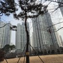 한라비발디아파트 이미지