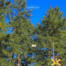 정동미니슈퍼 이미지