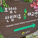 호암산잣나무산림욕장 네이버블로그