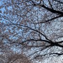 서광리-15 이미지