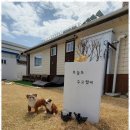 신리스테이
